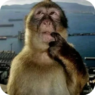 Telegram sticker 👍 KARTIK FAV