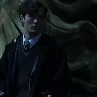 Video sticker 🐍 Том @stickers_HarryPotter :: @fStikBot