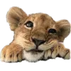 Video sticker 🤩 нашиды | �...