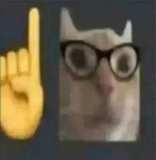 Video sticker 😱 хд :: @fStikBot