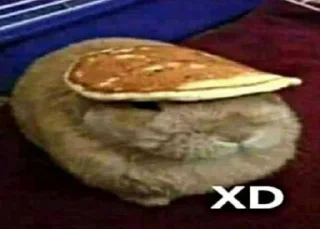 Video sticker 😱 хд :: @fStikBot