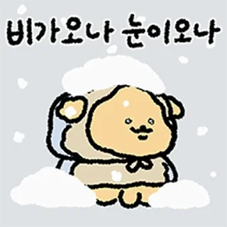 Video sticker ⭐ 푸들이는 똑땅해 @moe_sticker_bot