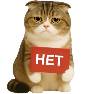 Telegram sticker 🙅‍♂ Шотландский кот @Nyasticks