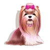 Sticker 🐶 Emoji slots