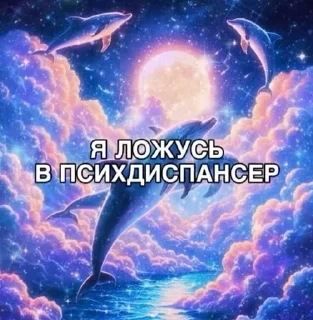 Video sticker 🌟 гадости :: @fStikBot