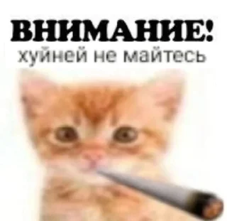 Sticker 🌟 гадости :: @fStikBot