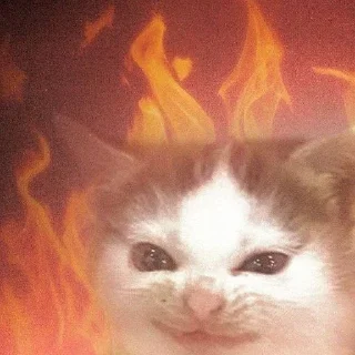 Telegram sticker 🔥 гадости :: @fStikBot