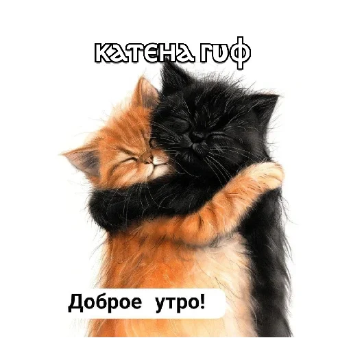 Телеграм стикер 😘 @katena3021
