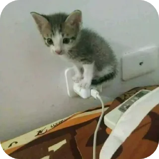 Telegram sticker 🔌 Больше стиков тут: @stikery4