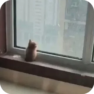 Telegram sticker 😞 Больше стиков тут: @stikery4