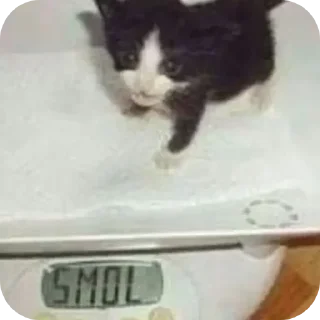 Telegram sticker 😡 Больше стиков тут: @stikery4