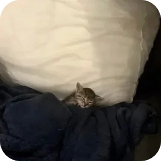 Telegram sticker 😴 Больше стиков тут: @stikery4