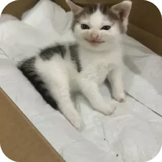 Telegram sticker 😠 Больше стиков тут: @stikery4