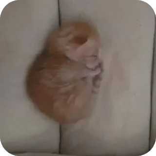 Sticker 😴 Больше стиков тут: @stikery4