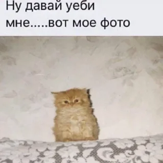 Telegram stiker 😍 Больше стиков тут: @stikery4