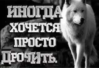 Telegram stiker 😍 Больше стиков тут: @stikery4