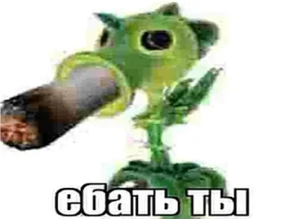 Video sticker 😍 Больше стиков тут: @stikery4