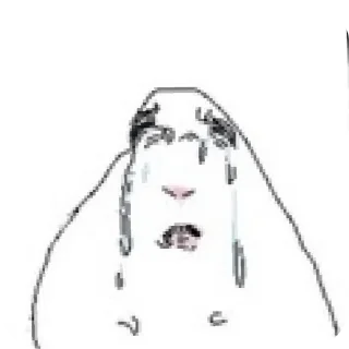 Video sticker 😭 Хомяки