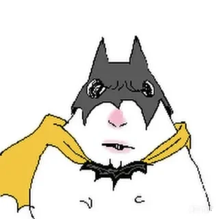 Video sticker 👄 Хомяки