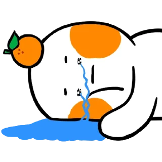 Video sticker 🍊 몽땅티콘