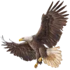 Sticker 🦅 Western | @wild_west_english