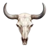Video sticker 🐄 Western | @wild_we...
