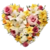 Video sticker 💛 flowers ➜ @emoji1