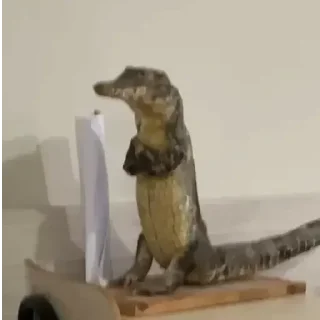 Telegram sticker 🐊 Troll