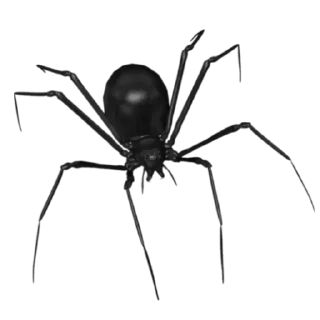 Telegram sticker 🕷 @klchuv @klchuv @klchuv :: @fStikBot