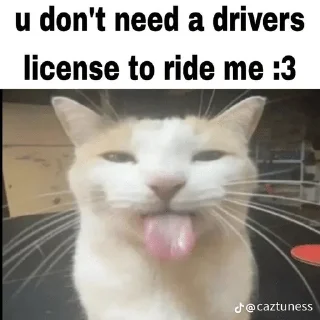 Telegram stiker 🌟 Lesbian Uhmm pack :: @fStikBot