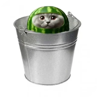 Telegram sticker 🐱 котяки by @W3yMan