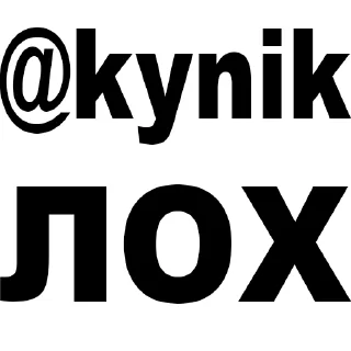 Video sticker ❤️ Кто такой @kynik?)