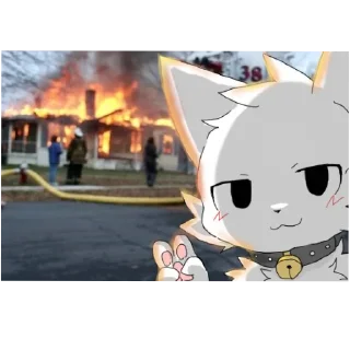 Телеграм стикер 🔥 Глупи шарк 1 @Horny_Meer_Sea