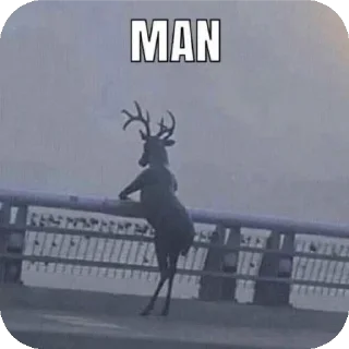 Video sticker 😎 ian's pack