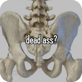 Telegram sticker 💀 ian's pack