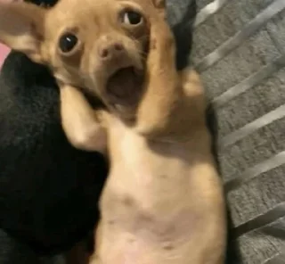 Telegram sticker 🌟 tiktok reactions :: @fStikBot