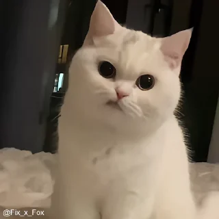 Телеграм стикер 😕 billoti :: @taeshix :: @fStikBot