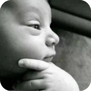 Telegram sticker ✋ crikamia