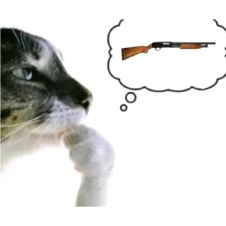 Video sticker 😵 ...