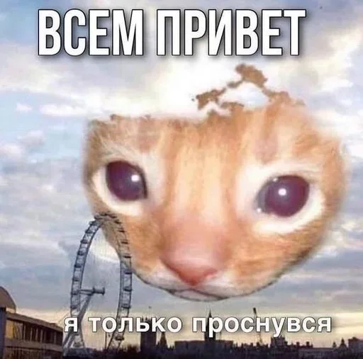 Telegram sticker ☀️ бллсстт