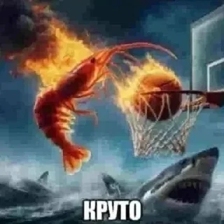 Video sticker 👍 Больше стиков тут: @stikery4