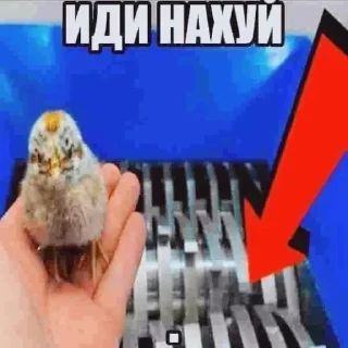 Telegram sticker 🖕 Больше стиков тут: @stikery4