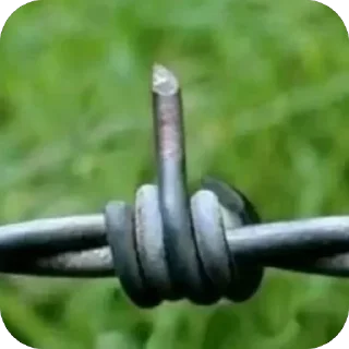 Telegram sticker 🫥 Wy23