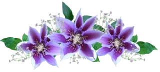 Telegram sticker 💠 @Madre_Tierra_5D 💖 — @stckrRobot