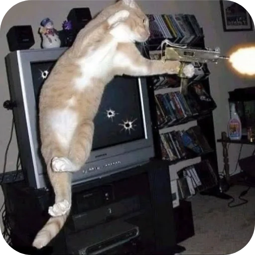 Телеграм стикер 🐱 Jonjy
