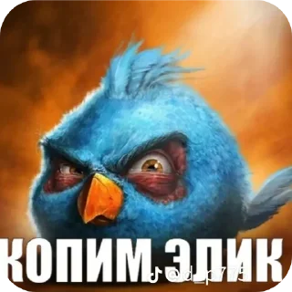 Video sticker 🐦 Птички