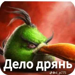 Video sticker 🖼 Птички