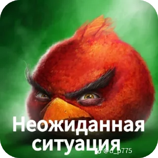 Sticker 👍 Птички