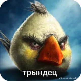 Telegram sticker 🖼 Птички