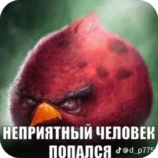 Telegram sticker 🎩 Птички